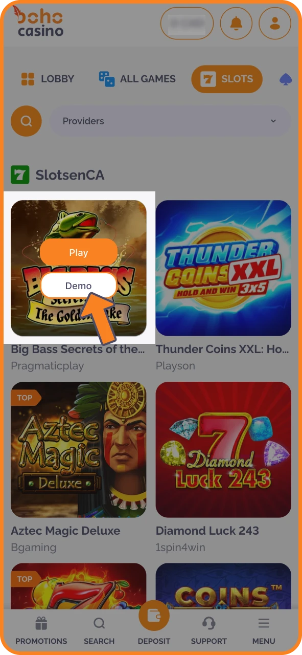 Try demo play at Boho Casino to learn games risk-free.